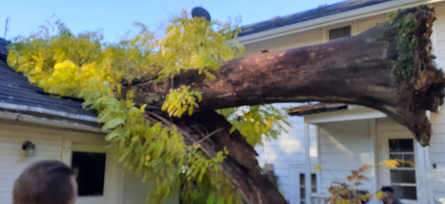 A 3 Rivers Tree Service crew removing at tree that fell on a garage in Fort Wayne.